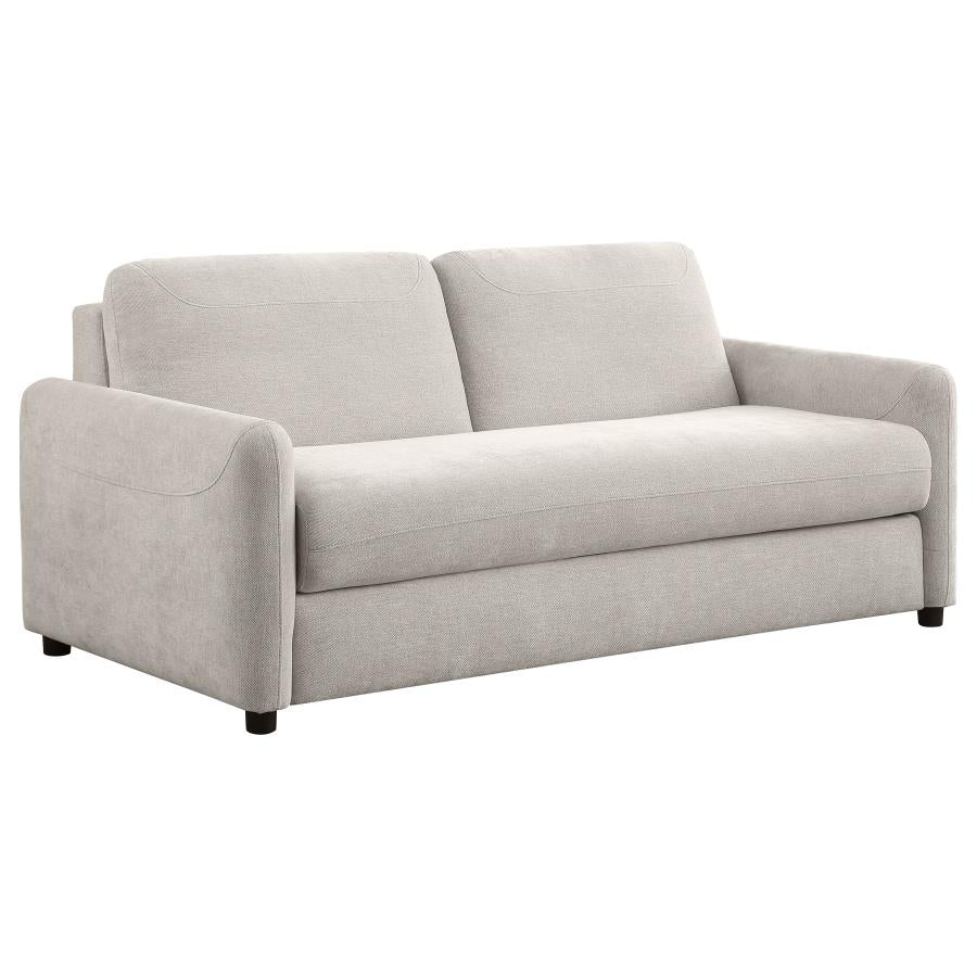 Raphael Queen Sofa Sleeper in Beige