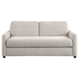 Raphael Queen Sofa Sleeper in Beige