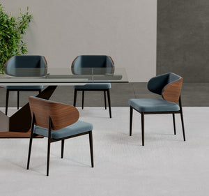 Bodega Contemporary Dining Chair