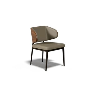Bodega Contemporary Dining Chair