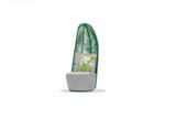 Whiteline Basil Outdoor Chair