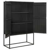 Jayla Tall 2-Door Accent Cabinet