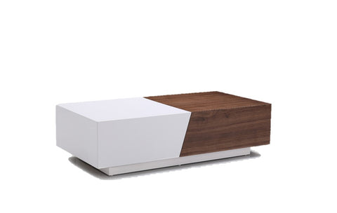 Leon Modern Storage Coffee Table