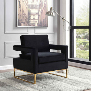 Noel Velvet Accent Chair with Gold Legs in 4 Color Options