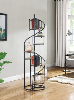 Spiral Staircase Bookcase