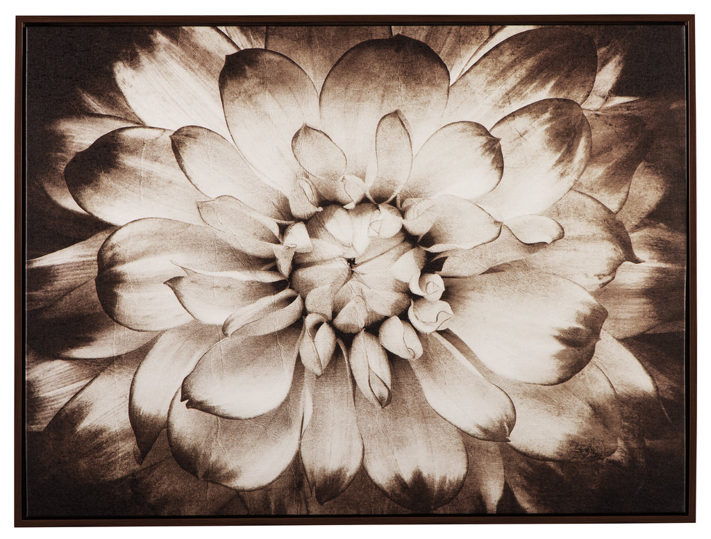 Blooming Flower in Sepia Canvas Wall Art