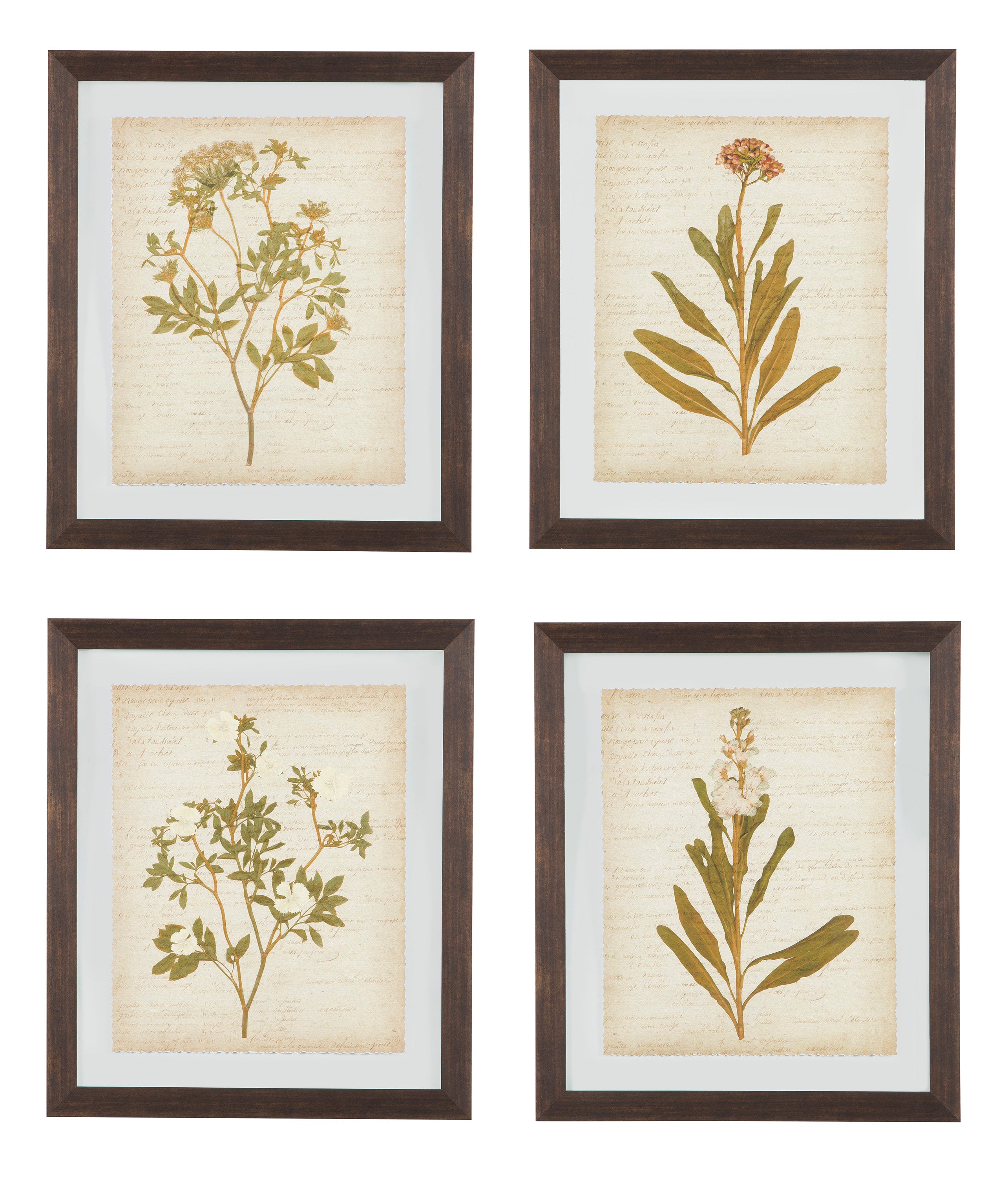 Glass Botanical Design 4 Piece Wall Art Set