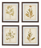 Glass Botanical Design 4 Piece Wall Art Set