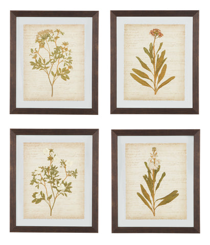 Glass Botanical Design 4 Piece Wall Art Set