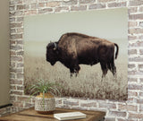 Buffalo Glass Wall Art in Sepia Tone