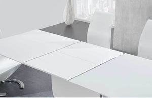 Allan Contemporary Extendable Dining Room Table