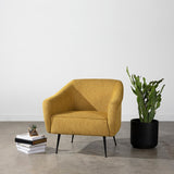 Lucie Fabric Accent Chair in 6 Color Options