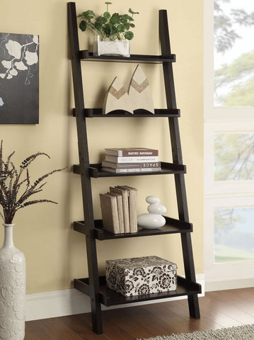 Ladder Bookcase