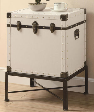 Trunk Style Side Table with Storage
